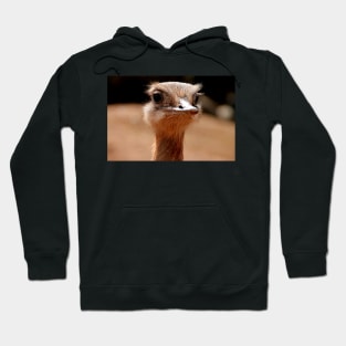 If Only Emu Hoodie